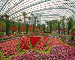 The park is filled with more exciting areas like the bulky Flower Dome which is shaped like a seashell garden filled with natural beauty and also one 